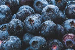 Free stock photo of berries, blue berries, blueberries