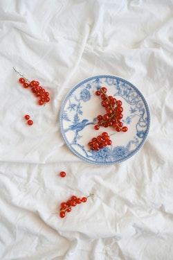 A blue and white plate with red berries on it