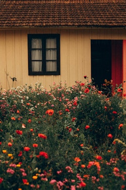 Charming Cottage with Vibrant Flower Garden