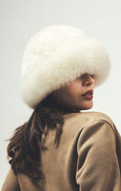 Stylish Woman in Fur Hat and Coat