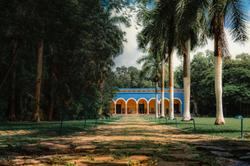 A vibrant colonial mansion framed by tall palm trees, ideal for tourism and architecture inspiration.