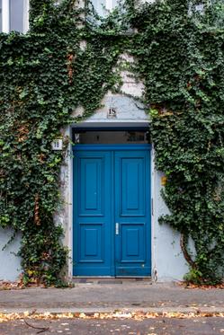 A striking blue door surrounded by lush green ivy on an urban residential building facade.