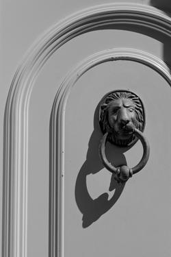 Black and white photo of a classic lion door knocker with a strong shadow on an ornate door.