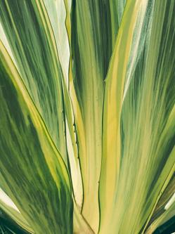 Free stock photo of abstract, abstract art, abstract pattern