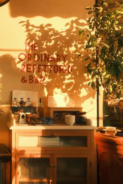 Warm afternoon light filters through plants at a cozy café corner.