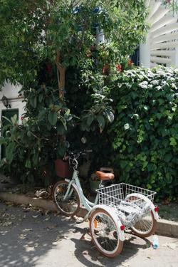 Charming vintage tricycle with basket parked on a sunny day under leafy trees.