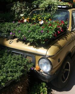 A vintage car adorned with lush plants and colorful flowers in a bright setting.