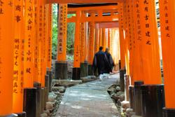 Travellers in traditional clothing walking through torii gates at Fushimi Inari-taisha