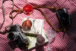 Charming vintage-style picnic scene featuring cameras, book, wine, and dessert on a checkered cloth.