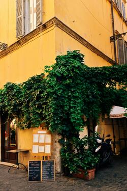 Yellow building corner in Rome with lush ivy, reflecting Italian charm and architectural beauty.