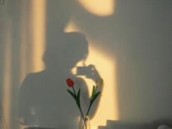 silhouette of a woman in the afternoon light