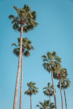 Palm Springs