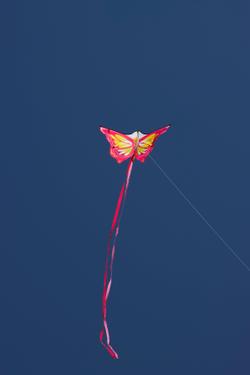 Free stock photo of 2025, 4k photo, blue sky