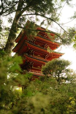 A traditional Japanese pagoda peeks through lush greenery, capturing the harmony of architecture and nature.
