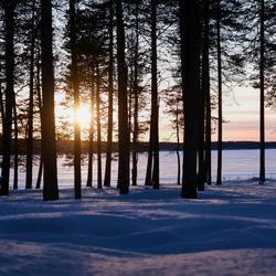 Free stock photo of calm nature, distant sun, finland