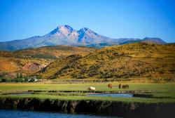 Beautiful horses grazing by a water body with a striking mountain backdrop, under clear blue skies.