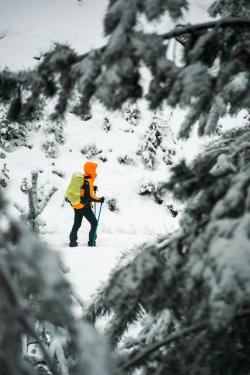 A hiker in bright gear treks through a snowy forest landscape, embodying winter adventure.