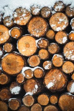 Close-up of stacked logs dusted with snow, showcasing a winter forest scene.